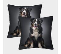 LeHuaiMa 3D Printed Bernese Mountain Dog Throw Pillow Covers Pet Throw Pillow Case Decorative Super Soft Pack of 2 for Patio,Couch, Tent, Balcony And Sofa 40x40cm