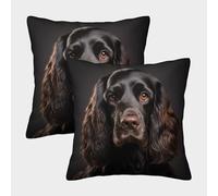 LeHuaiMa 3D Printed Cocker Spaniel Square Pillowcases Pet Pillow Case Cushion Garden Cushion Super Soft Pack of 2 for Patio,Couch, Tent, Balcony And Sofa 50x50cm
