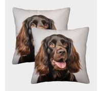 LeHuaiMa 3D Printed Cocker Spaniel Square Pillowcases Pet Square Throw Pillow Decorative Super Soft Pack of 2 Home Decor for Sofa Bedroom 40x40cm