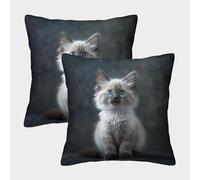 LeHuaiMa 3D Printed Cute Kitten Square Pillowcases Cat Pets Pillow Case Cushion Decorative Super Soft Pack of 2 for Home Couch Sofa Decorative, Gifts 50x50cm
