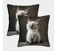LeHuaiMa 3D Printed Cute Kitten Square Pillowcases Cat Pets Square Throw Pillow Decorative Super Soft Pack of 2 for Patio,Couch, Tent, Balcony And Sofa 50x50cm