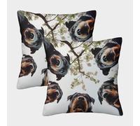 LeHuaiMa 3D Printed Rottweiler Throw Pillow Covers Dog Throw Pillow Case Decorative Super Soft Pack of 2 for Home Couch Sofa Decorative, Gifts 45x45cm