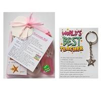 Leia-Marie's Celebration Gifts Blue or Pink Nursery Teacher Survival Gift Kit A Great Keepsake Gift with A Lovely Wish Charm Keyring (Pink)