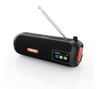 LEICKE DAB+ Radio - Portable Bluetooth Speaker with DAB+/FM, 4500mAh Battery, RGB LED Lights, 10W Stereo Sound, USB-C Charging, Micro SD/AUX Connection, Mains and Battery Operated, Black