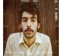 LEIF VOLLEBEKK - North Americana [VINYL]