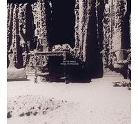 LEIFUR JAMES - ANGEL IN DISGUISE [VINYL]