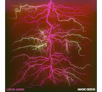 LEIFUR JAMES - MAGIC SEEDS [VINYL]