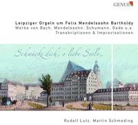 Lutz:Schmeding - LEIPZIGER ORGELN