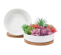 Leismy 2 PCS Succulent Pot Cactus Containers White Ceramic Planter with Drainage Hole and Removable Tray Small Plant Pots for Home Office Decor Bonsai Container for Indoor Outdoor Plants (Circle)