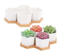 Leismy 2 PCS Succulent Pot Cactus Containers White Ceramic Planter with Drainage Hole and Removable Tray Small Plant Pots for Home Office Decor Bonsai Container for Indoor Outdoor Plants (Honeycomb)