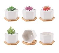 Leismy 6 PCS Succulent Pot Cactus Containers White Ceramic Planter with Drainage Hole and Removable Tray Small Plant Pots for Home Office Decor Bonsai Container for Indoor Outdoor Plants (Hexagonal)