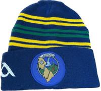 LEITRIM Official GAA All Ireland County Home style bronx hat very rare
