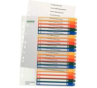 Leitz 1-20 Index, A4, PC Printable, Heavy Duty Plastic, Extra Wide, White/Multi-