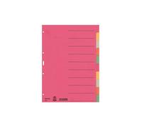 Leitz 43590000 Index A4 Blank Cardboard Multicolour 10 Dividers