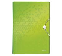 Leitz 45890054 A4 Box File, Holds Up to 250 A4 Sheets, Elastic Closure, Flexible