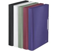 Leitz A4 Expanding File with 6 Compartments, Elastic Band Fastener, Celadon Green, Style Range, 39570053