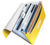 Leitz WOW Expanding File Organizer 45890016