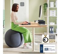 Leitz Ergo Active Sitting Ball with Stopper Function, Ergonomically Designed Desk Chair Alternative, 55cm Diameter, Includes Fabric Ball Cover, Hand Air Pump & 2 x Plugs, Velvet Grey, 65410089