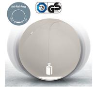 Leitz Active Sitting Ball Anti Roll Chair Light Grey 75Cm