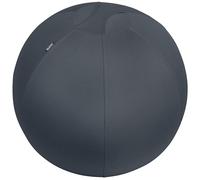 Leitz Active Sitting Ball, Ergonomically Designed Desk Chair Alternative, 65cm Diameter, Includes Fabric Ball Cover, Hand Air Pump & 2 x Plugs, Ergo Cosy Range, Velvet Grey, 52790089