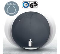 Leitz Active Sitting Ball w/ Stopper Function Office Seating 55cm, 65cm & 75cm