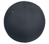 Leitz Ergo Active Sitting Ball with Stopper Function, Ergonomically Designed Desk Chair Alternative, 65cm Diameter, Includes Fabric Ball Cover, Hand Air Pump & 2 x Plugs, Velvet Grey, 65420089