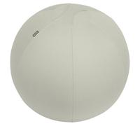 Leitz Ergo Active Sitting Ball with Stopper Function, Ergonomically Designed Desk Chair Alternative, 65cm Diameter, Includes Fabric Ball Cover, Hand Air Pump & 2 x Plugs, Light Grey, 65420085