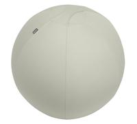 Leitz Ergo Grey Indoor Spheric