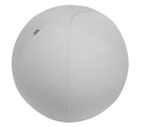 Leitz Ergo Grey Indoor Spheric