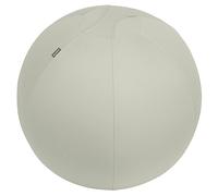 Leitz Ergo Active Sitting Ball with Stopper Function, Ergonomically Designed Desk Chair Alternative, 65cm Diameter, Includes Fabric Ball Cover, Hand Air Pump & 2 x Plugs, Light Grey, 65420085
