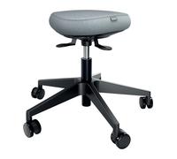 Leitz Ergo Active Sitting Stool Wobble Seat