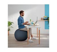 Leitz Active Sitting Ball, Ergonomically Designed Desk Chair Alternative, 65cm Diameter, Includes Fabric Ball Cover, Hand Air Pump & 2 x Plugs, Ergo Cosy Range, Velvet Grey, 52790089