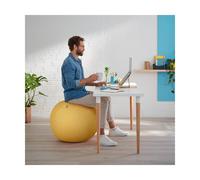 Leitz Ergo Cosy Active Sitting Ball Warm Yellow (52790019)