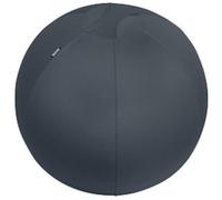 Leitz Ergo Cosy Ergonomic Sitting Ball 5279 Carry Handle Washable 65 cm Up to 100 kg Grey