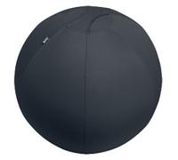 Leitz Ergo Ergonomic Sitting Ball 6543 Stopper Function Carry Handle Washable 75 cm Up to 150 kg Dark Grey