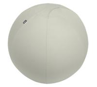 Leitz Ergo Ergonomic Sitting Ball 6543 Stopper Function Carry Handle Washable 75 cm Up to 150 kg Light Grey