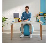 Leitz Ergo Cosy Active Sitting Ball - Blue