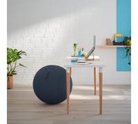 Leitz Active Sitting Ball, Ergonomically Designed Desk Chair Alternative, 65cm Diameter, Includes Fabric Ball Cover, Hand Air Pump & 2 x Plugs, Ergo Cosy Range, Velvet Grey, 52790089