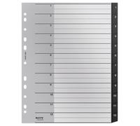 Leitz Recycle Index, PP, extra wide