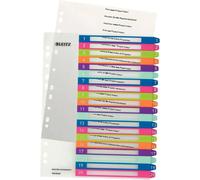 Leitz Index Print 1-20 WOW A4 PP Coloured