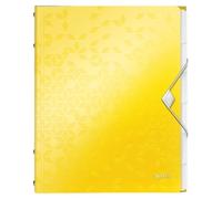 Leitz WOW Divider Book 46330016
