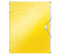 Leitz WOW Divider Book 46340016