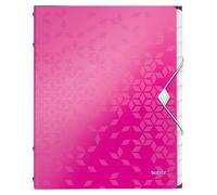 Leitz WOW Divider Book 46340023