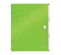 Leitz WOW Divider Book 46340054
