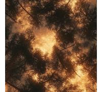 LeIxIaO Moonlight Forest Peel and Stick Wallpaper 3D Printed Retro Landscape for Bedroom Living Room Bathroom Kitchen Removable Decor Wall Mural Paper 17.3" x 236"