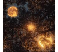 LeIxIaO Moonlight Forest Peel and Stick Wallpaper 3D Printed Retro Landscape for Bedroom Living Room Bathroom Kitchen Removable Decor Wall Mural Paper 17.3" x 118"