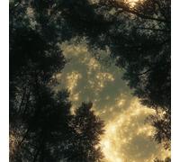 LeIxIaO Moonlight Forest Peel and Stick Wallpaper 3D Printed Retro Landscape for Bedroom Living Room Bathroom Kitchen Removable Decor Wall Mural Paper 17.3" x 393"
