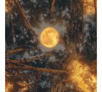 LeIxIaO Moonlight Forest Peel and Stick Wallpaper 3D Printed Retro Landscape for Bedroom Living Room Bathroom Kitchen Removable Decor Wall Mural Paper 17.3" x 118"