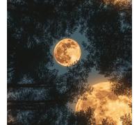 LeIxIaO Removable Peel and Stick Wallpaper 17.3" x 236" Moonlight Forest Self Adhesive Wallpaper Retro Landscape for Drawers Furniture Makeovers Easy to Install Wall Paper
