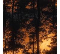 LeIxIaO Removable Peel and Stick Wallpaper 17.3" x 78.7" Moonlight Forest Self Adhesive Wallpaper Retro Landscape for Drawers Furniture Makeovers Easy to Install Wall Paper